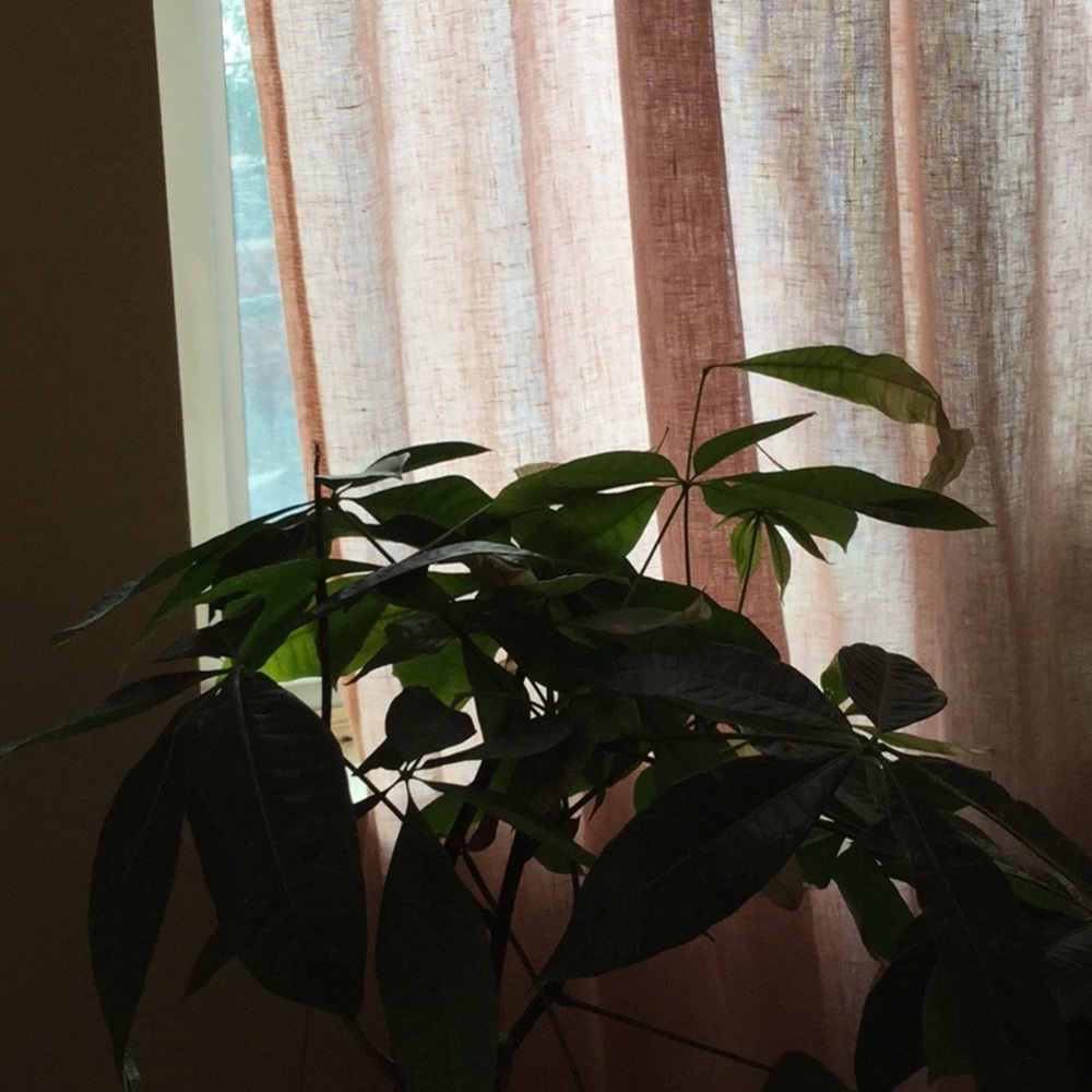 Meet your Posher, Mandy